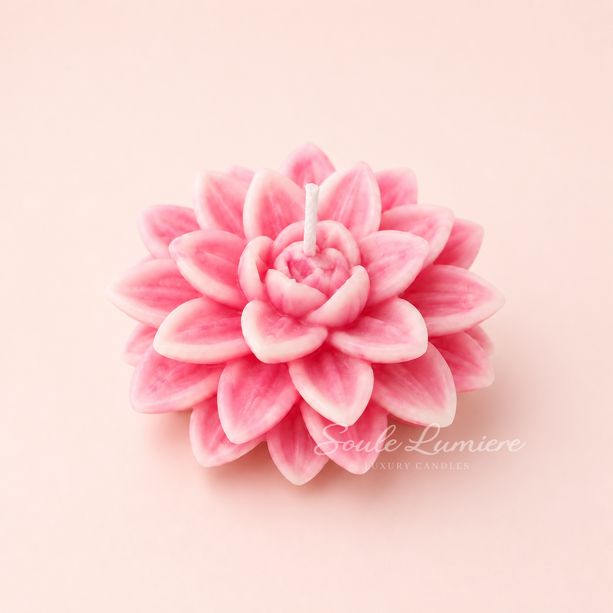 Lotus Flower