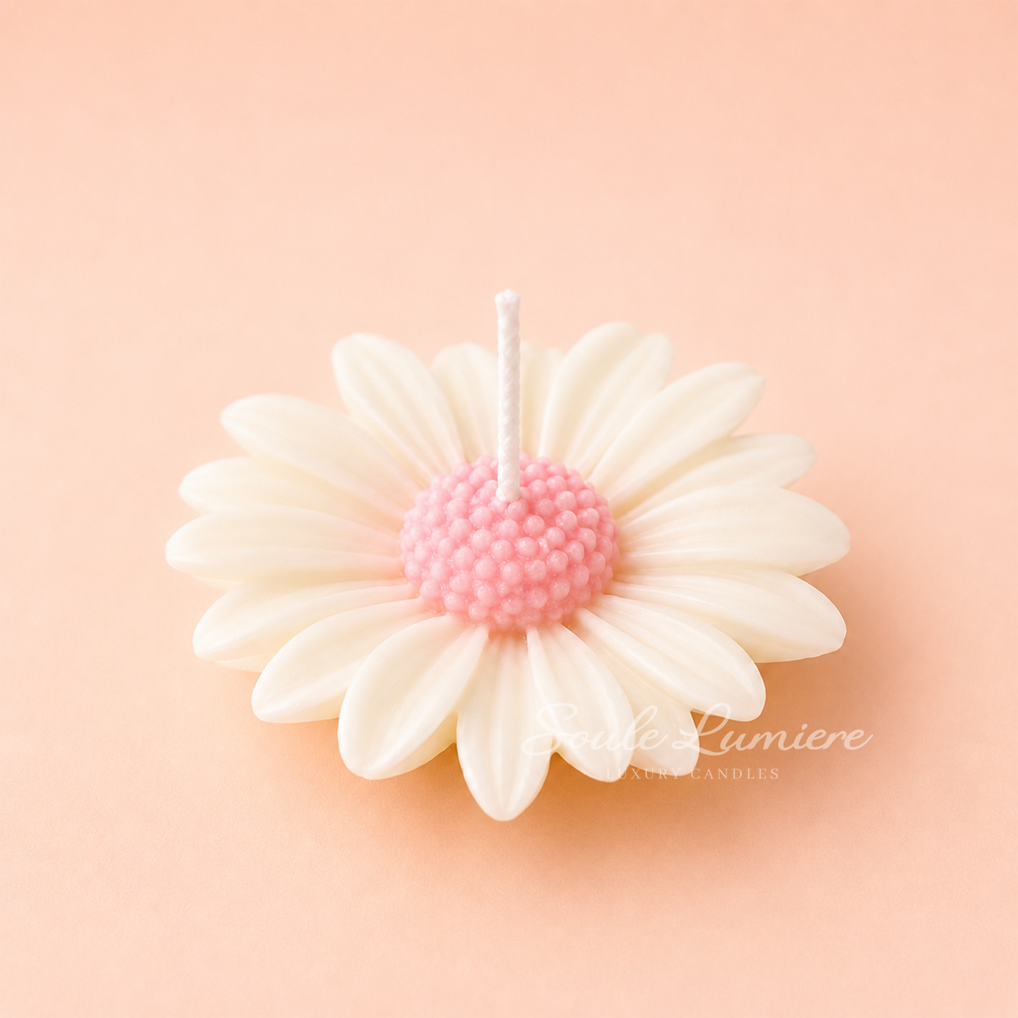 Daisy
